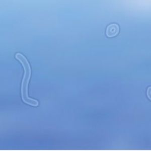 Meet your Posher, Danny